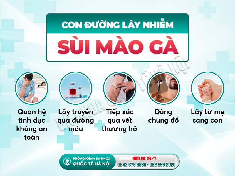 nguyên nhân sùi mào gà