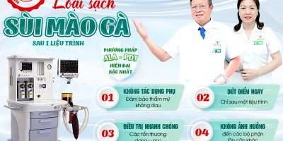 sui-mao-ga-o-bao-quy-dau