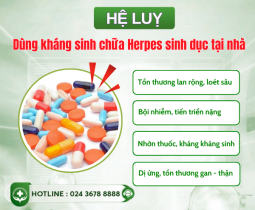 bat-mi-cach-dieu-tri-mun-rop-sinh-duc-toan-dien-kiem-soat-hsv-lau-dai-chuan-y-khoa